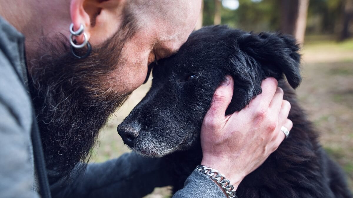 Spürt ein Hund, wenn er sterben muss?